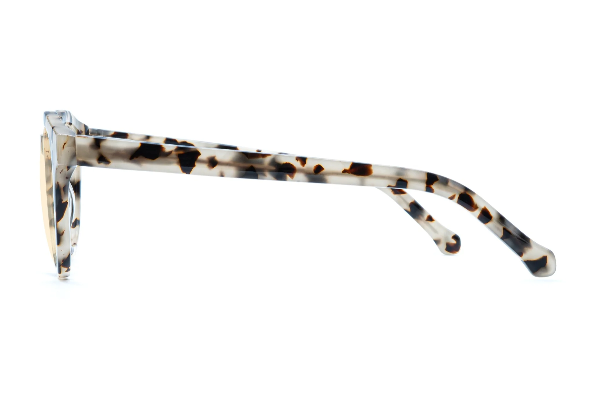 Alexander - Ivory Tortoise - Image 3