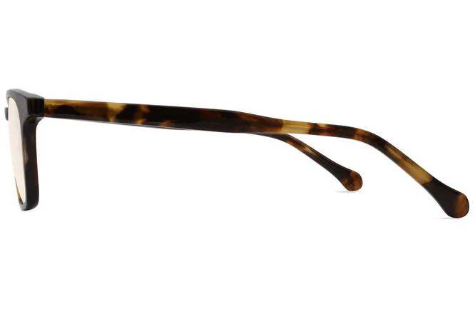 Nash K1 - Whiskey Tortoise - Image 5