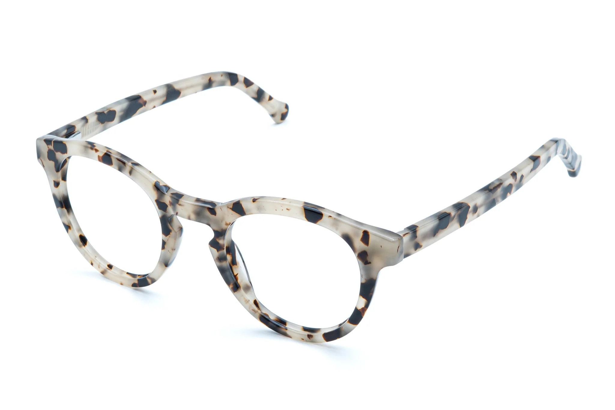 Alexander - Ivory Tortoise - Image 3