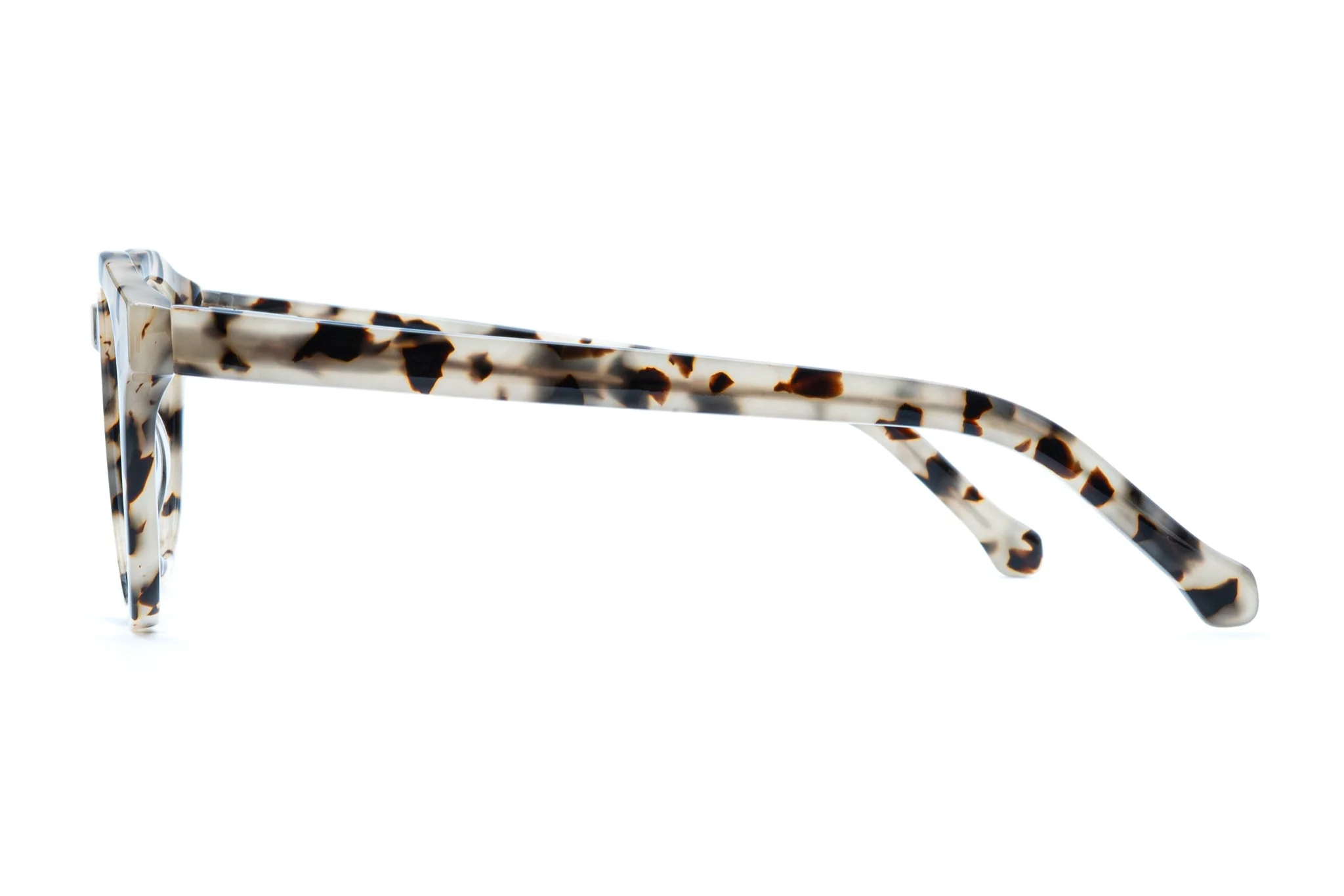 Alexander - Ivory Tortoise - Image 4