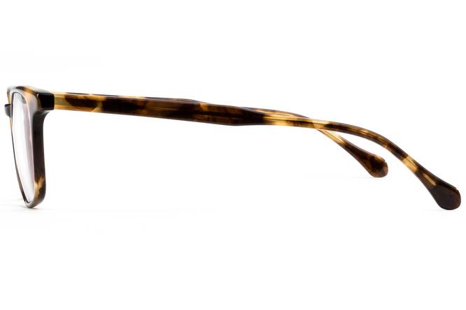 Nash - Whiskey Tortoise - Image 4